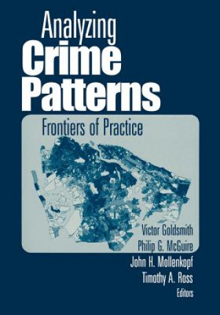 Könyv Analyzing Crime Patterns Victor Goldsmith