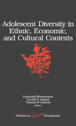 Kniha Adolescent Diversity in Ethnic, Economic, and Cultural Contexts 