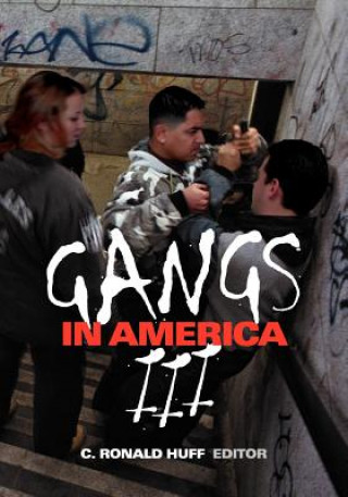 Kniha Gangs in America III C. Ronald Huff