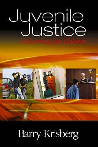 Carte Juvenile Justice Barry Krisberg