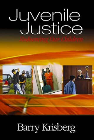 Buch Juvenile Justice Barry Krisberg