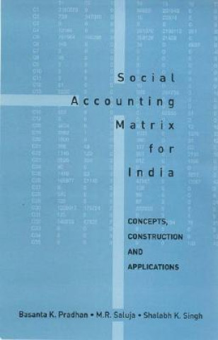 Kniha Social Accounting Matrix for India Basanta K. Pradhan