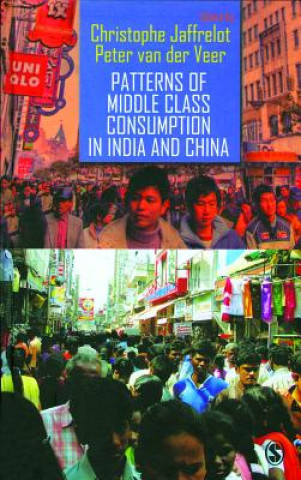 Kniha Patterns of Middle Class Consumption in India and China Christophe Jaffrelot