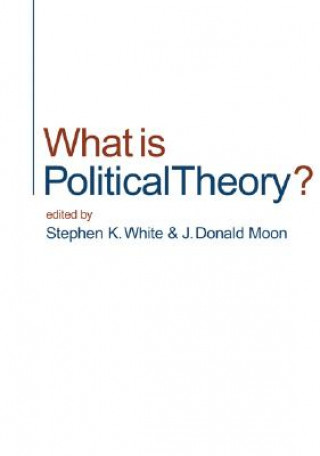 Kniha What is Political Theory? 