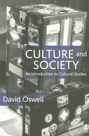 Könyv Culture and Society David Oswell