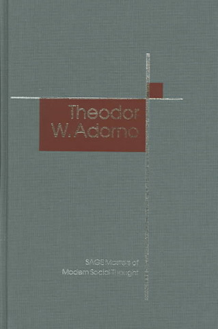 Kniha Theodor W. Adorno Gerard Delanty
