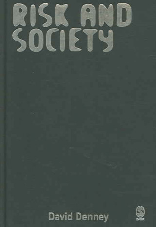 Książka Risk and Society D. Denney