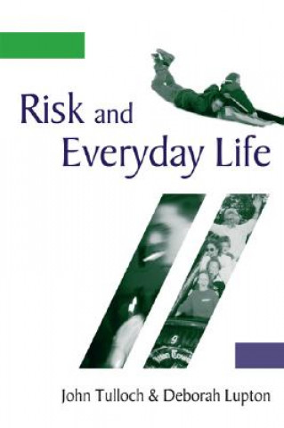 Kniha Risk and Everyday Life Deborah Lupton