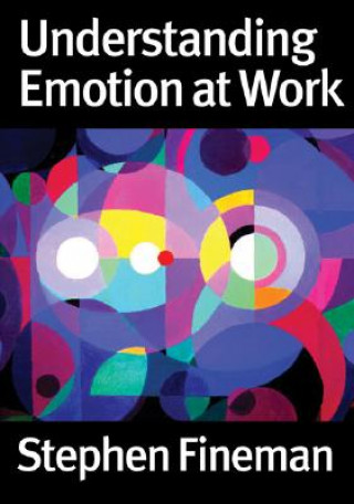 Kniha Understanding Emotion at Work Stephen Fineman