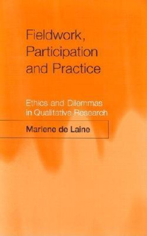 Kniha Fieldwork, Participation and Practice Marlene De Laine