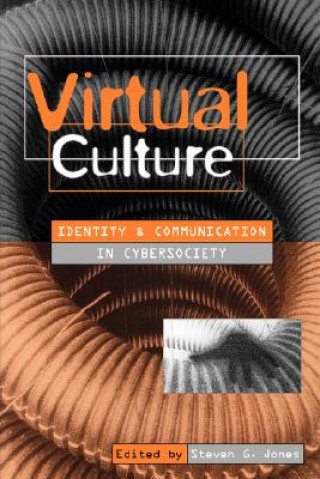 Libro Virtual Culture Steve Jones