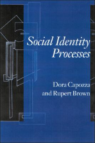 Książka Social Identity Processes Rupert Brown
