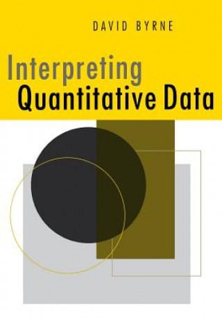 Kniha Interpreting Quantitative Data David Byrne