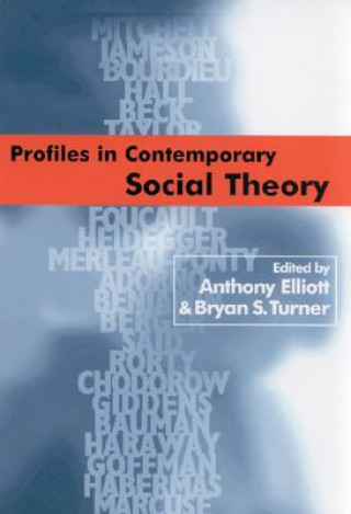 Книга Profiles in Contemporary Social Theory Anthony Elliott