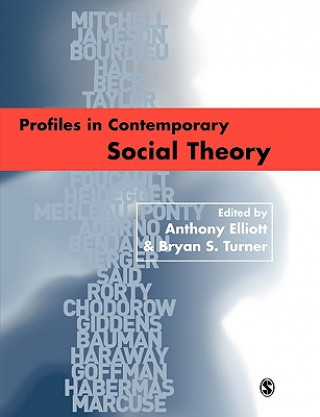 Книга Profiles in Contemporary Social Theory Anthony Elliott