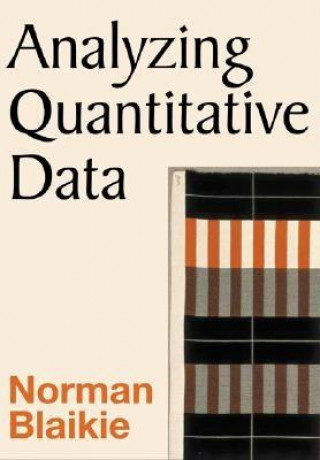 Kniha Analyzing Quantitative Data Norman Blaikie