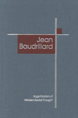 Kniha Jean Baudrillard Mike Gane