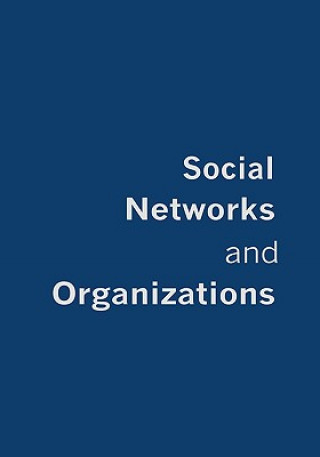 Kniha Social Networks and Organizations Martin Kilduff