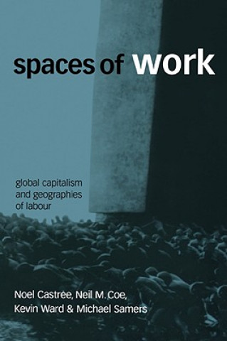 Kniha Spaces of Work Noel Castree