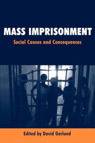 Kniha Mass Imprisonment David Garland