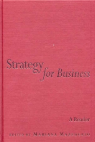 Kniha Strategy for Business 