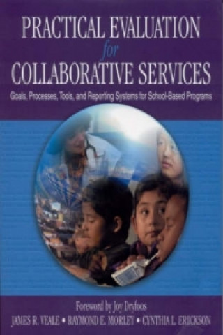 Knjiga Practical Evaluation for Collaborative Services James R. Veale