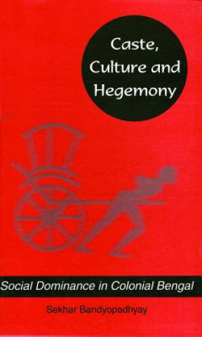 Könyv Caste, Culture and Hegemony Sekhar Bandyopadhyay