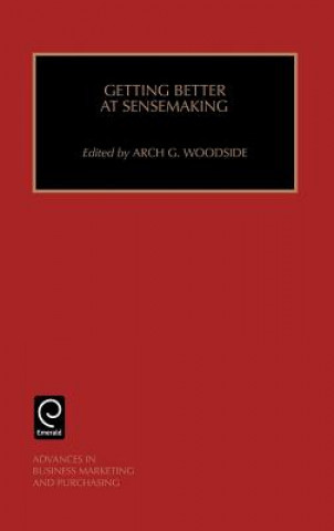 Könyv Getting Better at Sensemaking Woodside