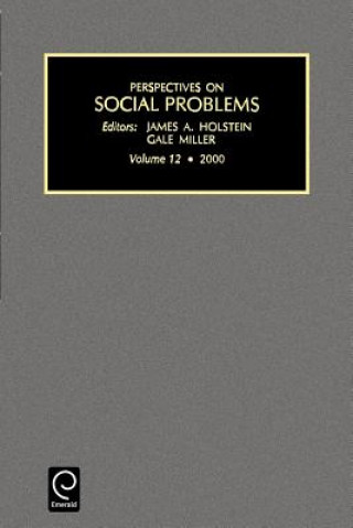 Könyv Perspectives on Social Problems James A. Holstein