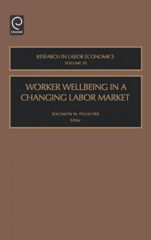 Kniha Worker Wellbeing in a Changing Labor Market Polachek