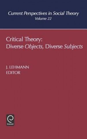 Knjiga Critical Theory Jennifer M. Lehmann