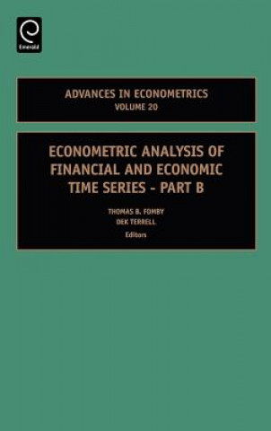 Kniha Econometric Analysis of Financial and Economic Time Series Thomas B. Fomby