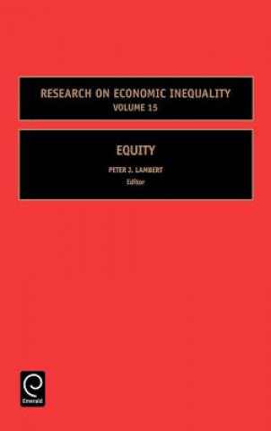Könyv Equity Yoram Amiel