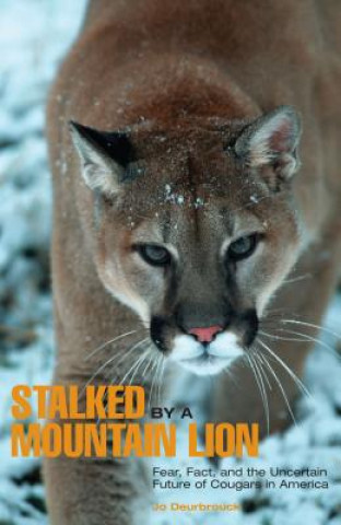 Knjiga Stalked by a Mountain Lion Jo Deurbrock
