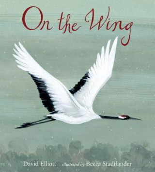 Kniha On the Wing David Elliott
