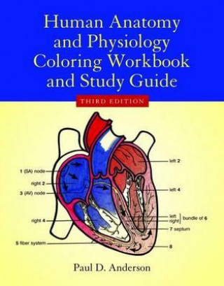 Kniha Human Anatomy  &  Physiology Coloring Workbook Paul D. Anderson