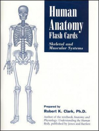 Prasa Human Anatomy Flash Cards: Skeletal And Muscular Systems Robert K. Clark