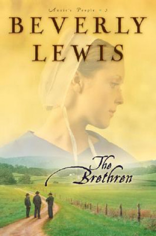Buch Brethren Beverly Lewis