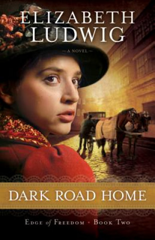 Carte Dark Road Home Elizabeth Ludwig