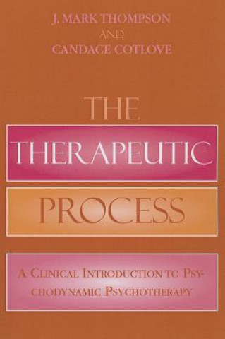 Könyv Therapeutic Process Mark J. Thompson