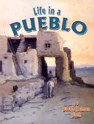 Книга Life in a Pueblo Amanda Bishop