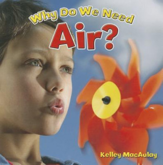 Buch Why Do We Need Air? Kelley MacAulay