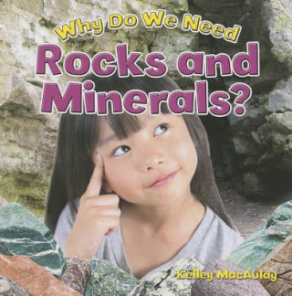 Könyv Why Do We Need Rocks and Minerals? Kelley MacAulay