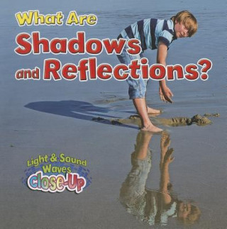 Kniha What Are Shadows and Reflections? Paula Smith