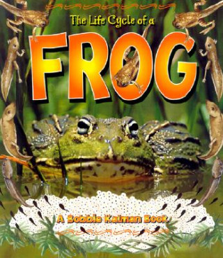 Könyv Life Cycle of a Frog Kathryn Smithyman