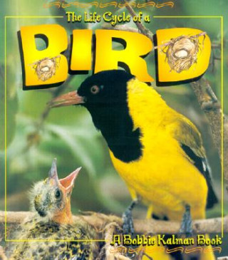 Kniha Life Cycle of the Bird Kathryn Smithyman