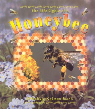 Carte Life Cycle of a Honeybee Bobbie Kalman