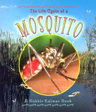 Buch Life Cycle of a Mosquito Bobbie Kalman