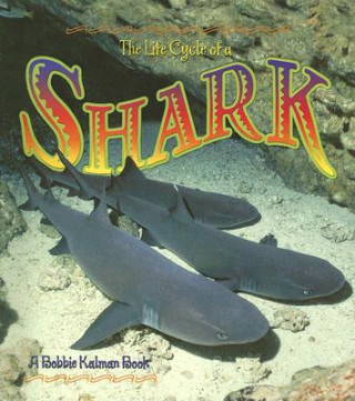 Carte Life Cycle of a Shark John Crossingham
