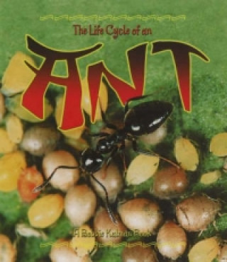 Knjiga Life Cycle of the Ant Hadley Dyer